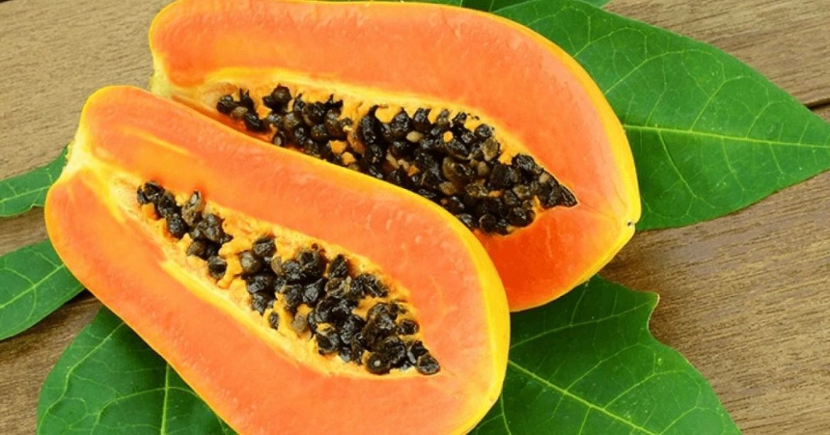 papaya